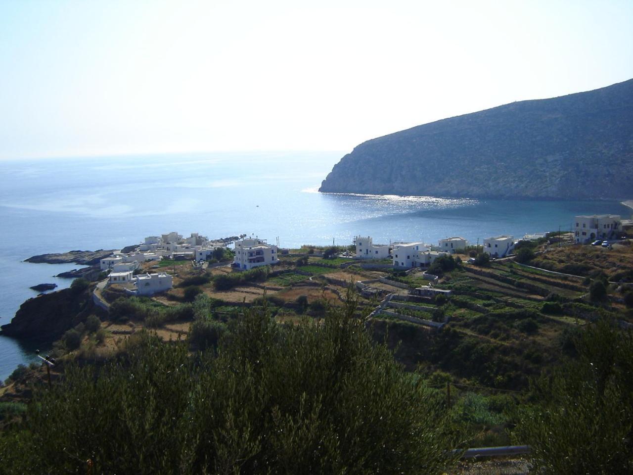 Flora'S Apartments Apollon  Dış mekan fotoğraf