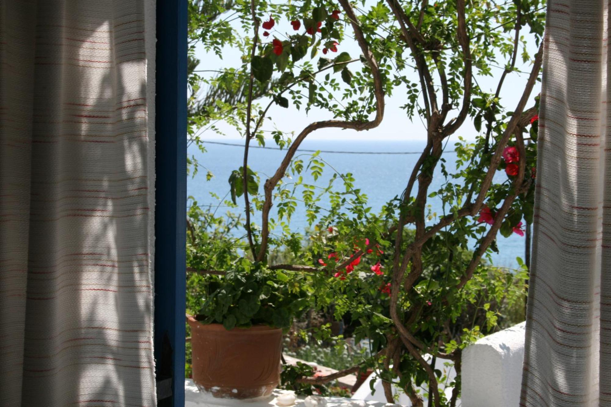 Flora'S Apartments Apollon  Dış mekan fotoğraf
