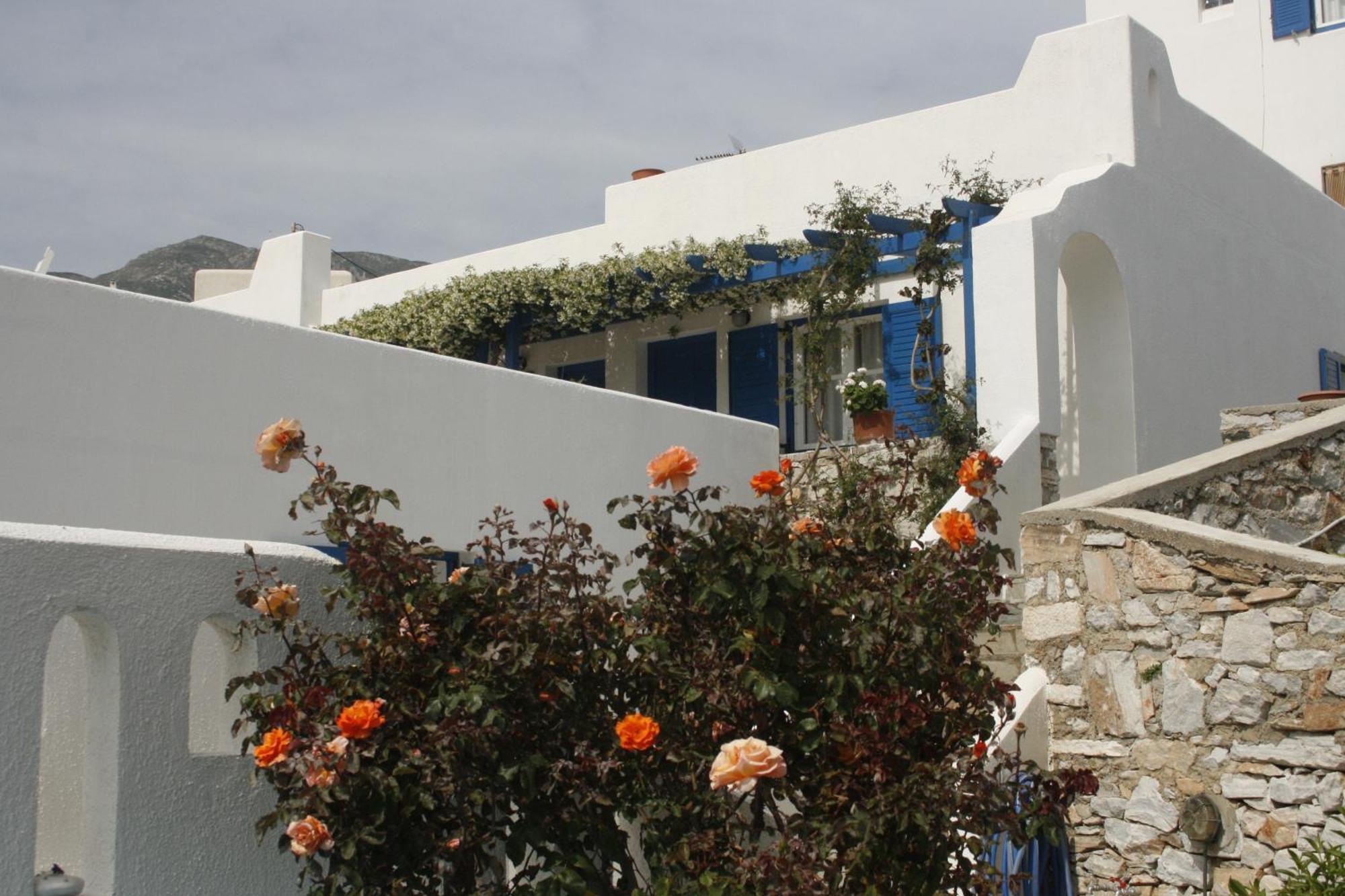 Flora'S Apartments Apollon  Dış mekan fotoğraf