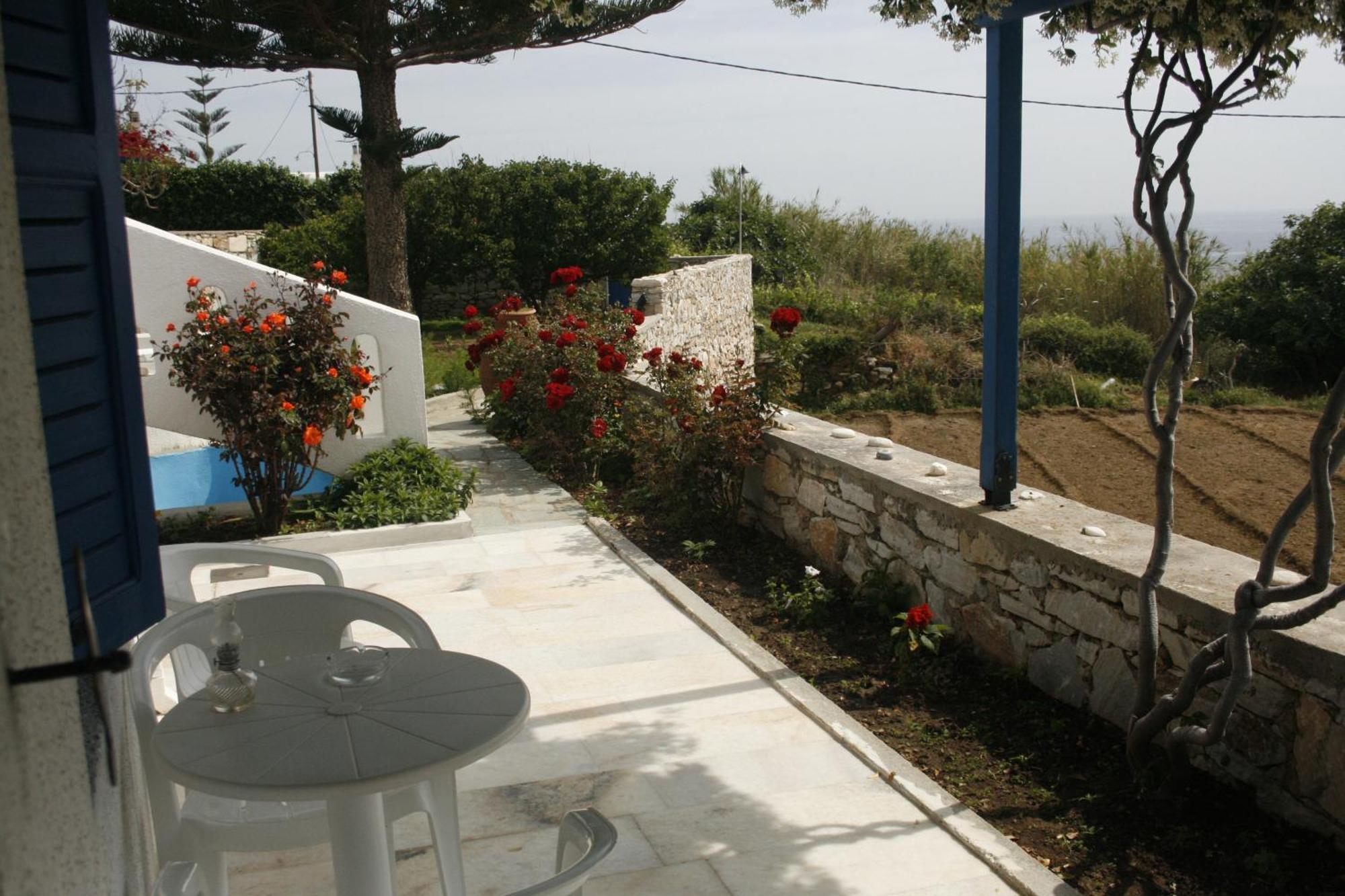 Flora'S Apartments Apollon  Dış mekan fotoğraf