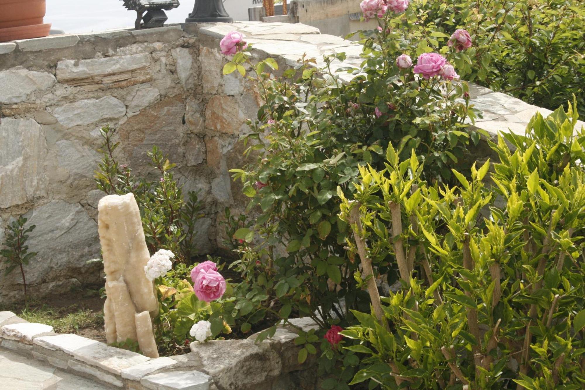Flora'S Apartments Apollon  Dış mekan fotoğraf