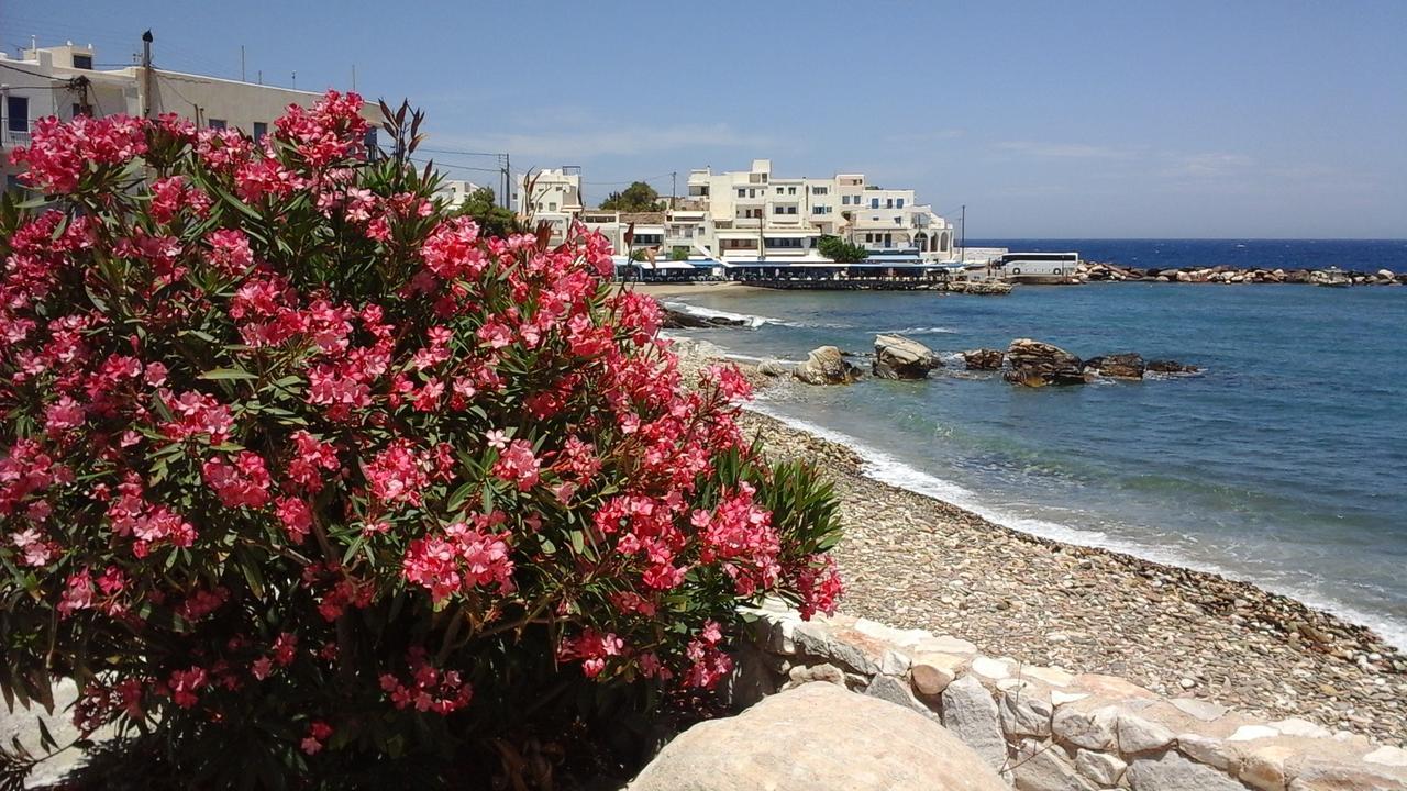 Flora'S Apartments Apollon  Dış mekan fotoğraf
